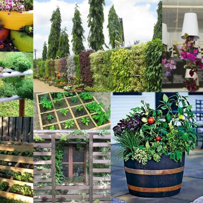 Gardening Innovations – 10 cool ideas to make you smile! - CGASPL