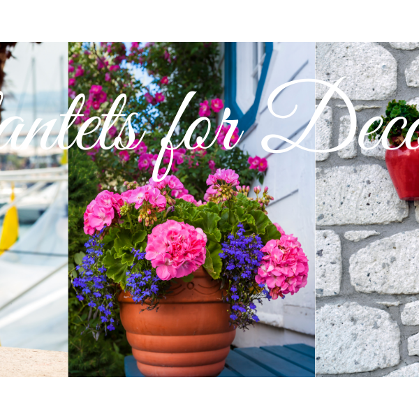 Pots And Planters For Home Decor - CGASPL