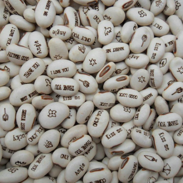 Magic Beans - The Magical Gift - CGASPL
