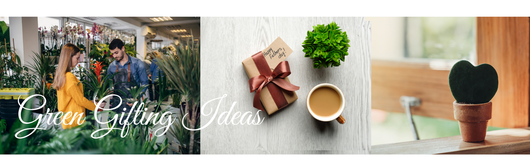 Green Gift Ideas - 5 Plants - CGASPL