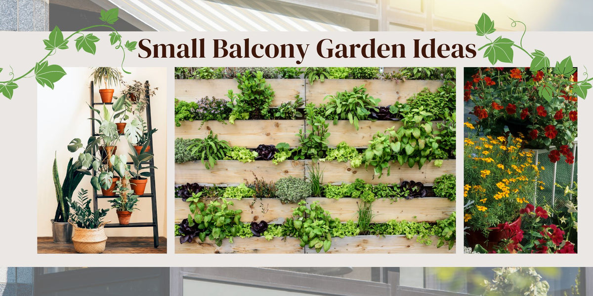 Ideas for a Small Balcony Garden in a city apartment – ChhajedGarden.com