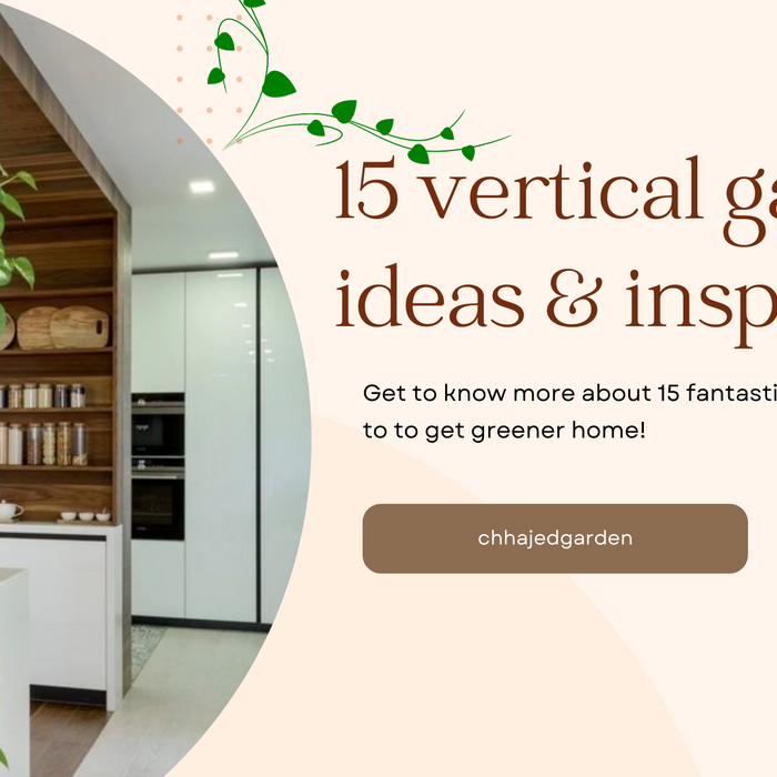 Types Of Vertical Gardens To Get A Greener Home