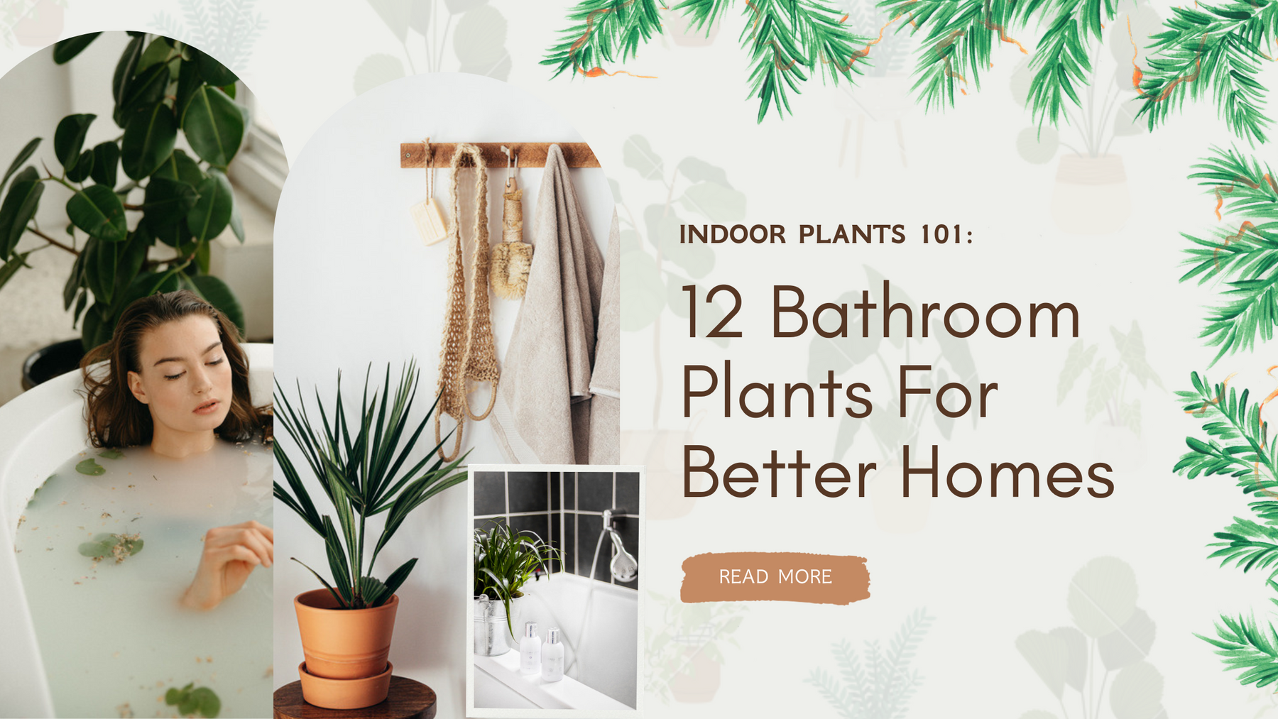 Transform Your Bathroom into a Green Oasis with These 12 Houseplants