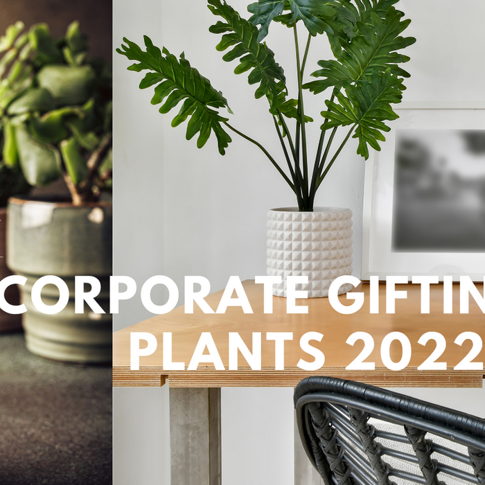 "Plant to Gift" Corporate Gifting Guide 2022