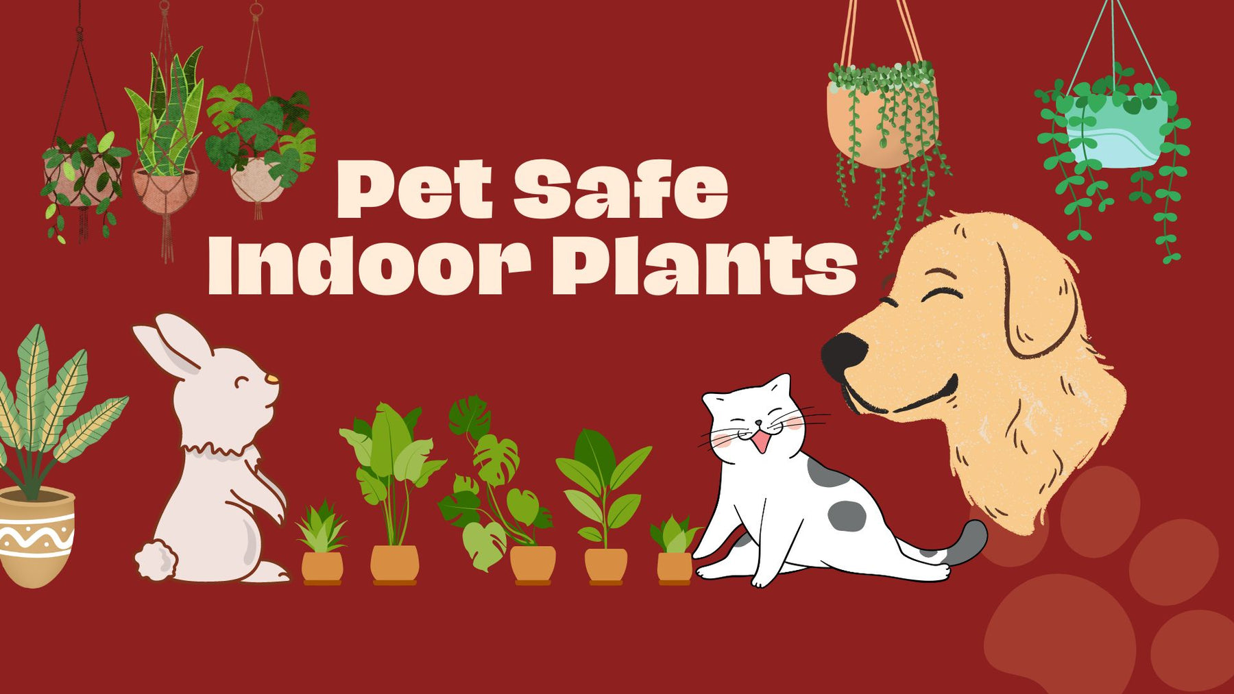 pet safe indoor plant