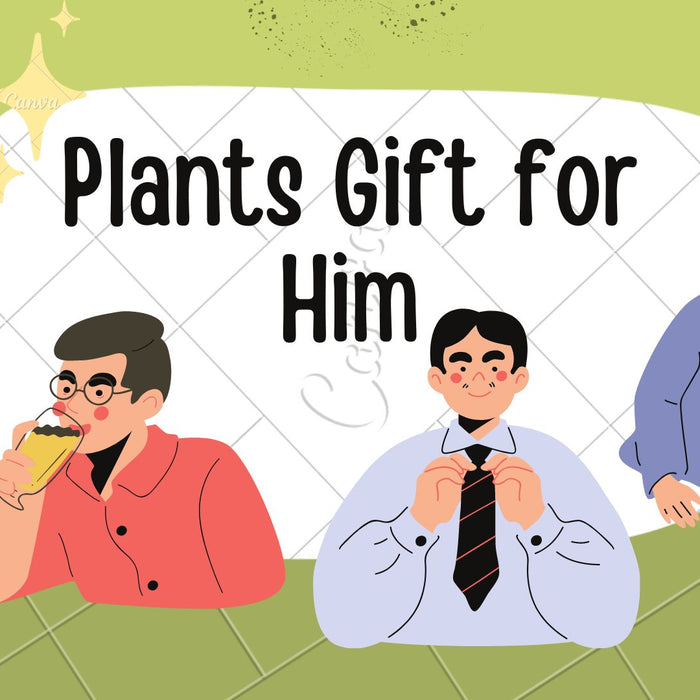 Plants Gift for Him