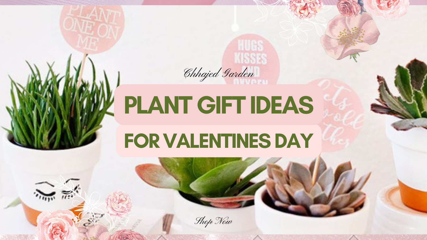 10 Plant Gift Ideas for Valentine's Day