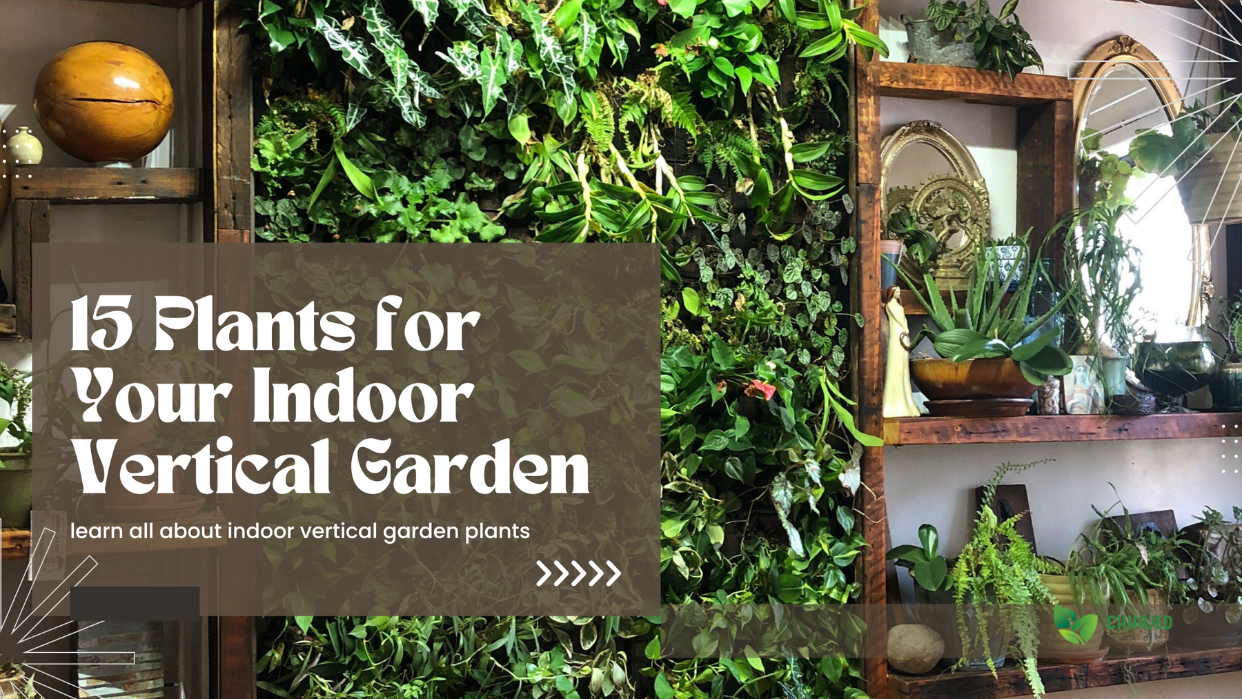 15 Plants for Indoor Vertical Garden