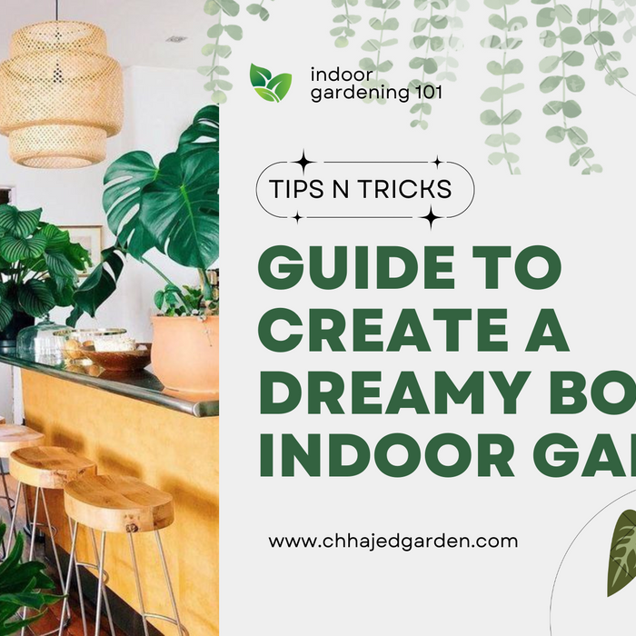 guide to create a boho indoor garden