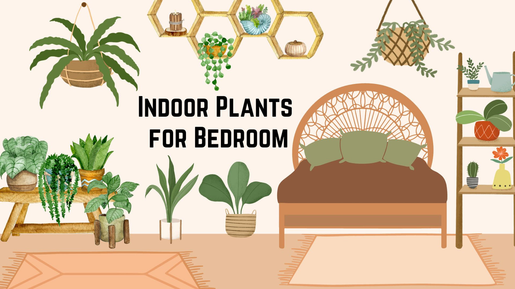 Indoor Plants for Bedroom
