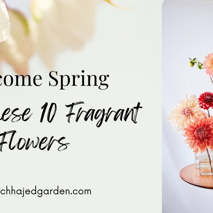 A Fragrant Garden: Top 10 Flowers to Plant for a Sweet-Smelling Oasis
