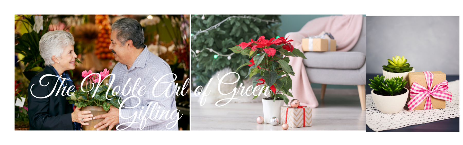 The Noble Art of Green Gifting - CGASPL