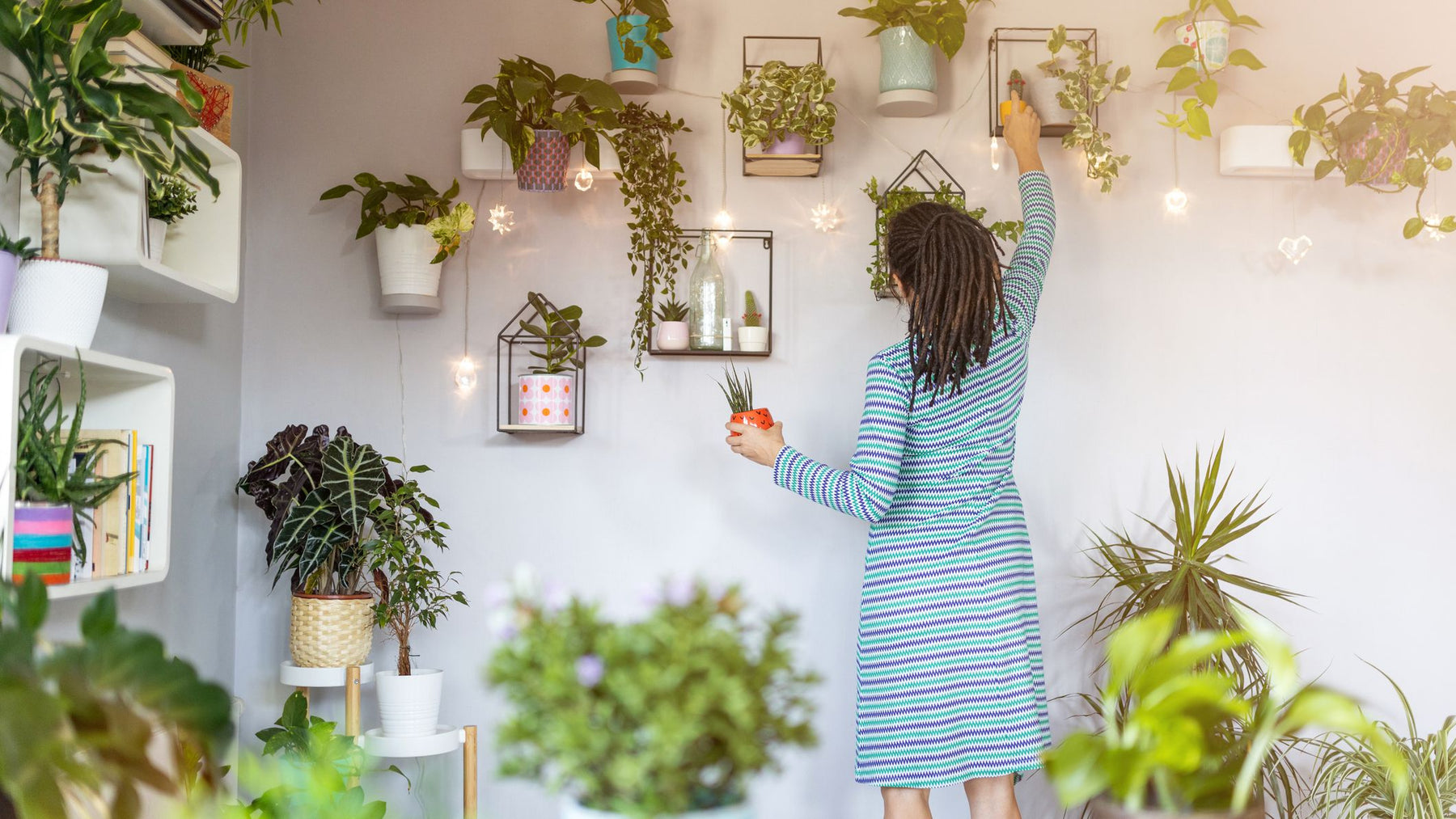 How to decorate your Home with Indoor Plants 
