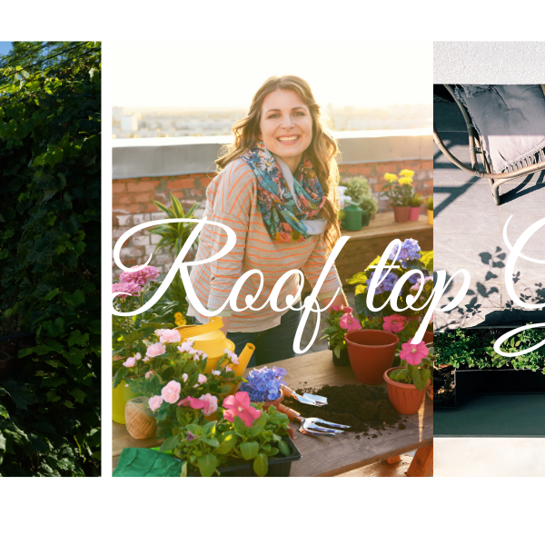 Get off the Ground with Roof Top Gardening - CGASPL