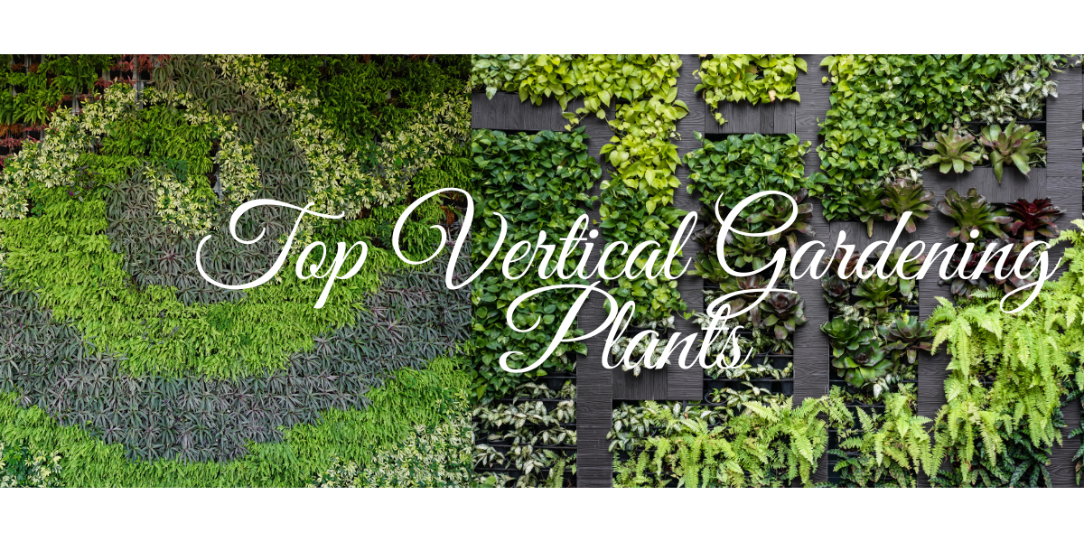 Best Plants For Indoor Vertical Gardening