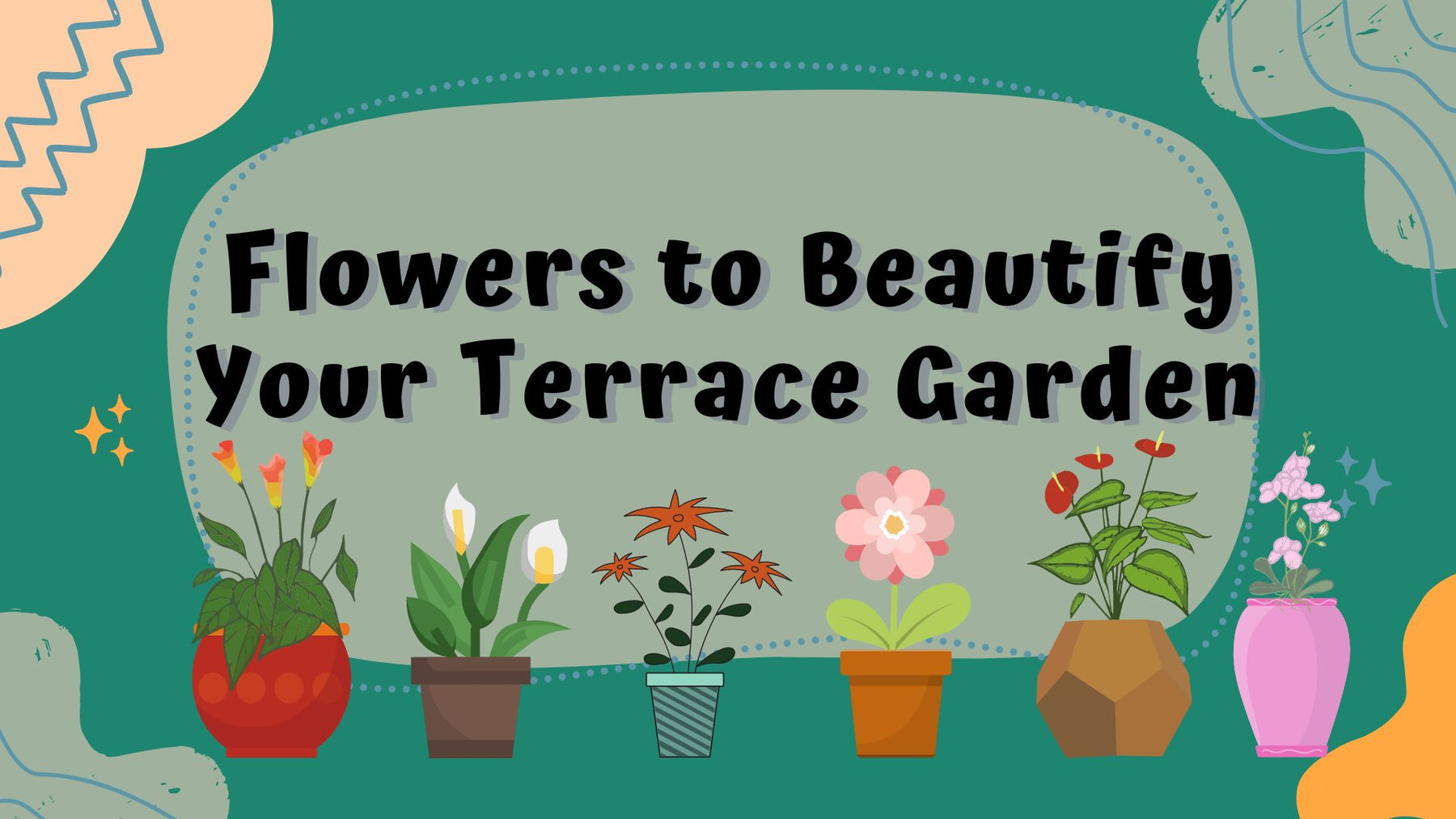 Top 20 Flowers to Beautify Your Terrace Garden