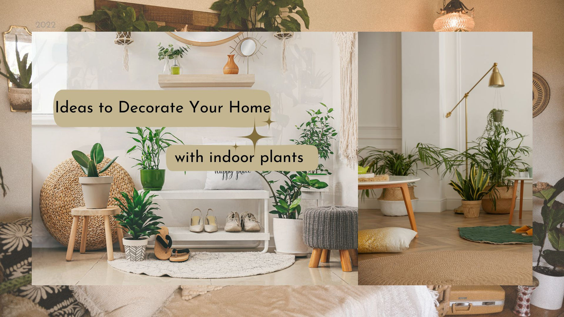 Ideas to Decorate Your Home with Indoor Plants
