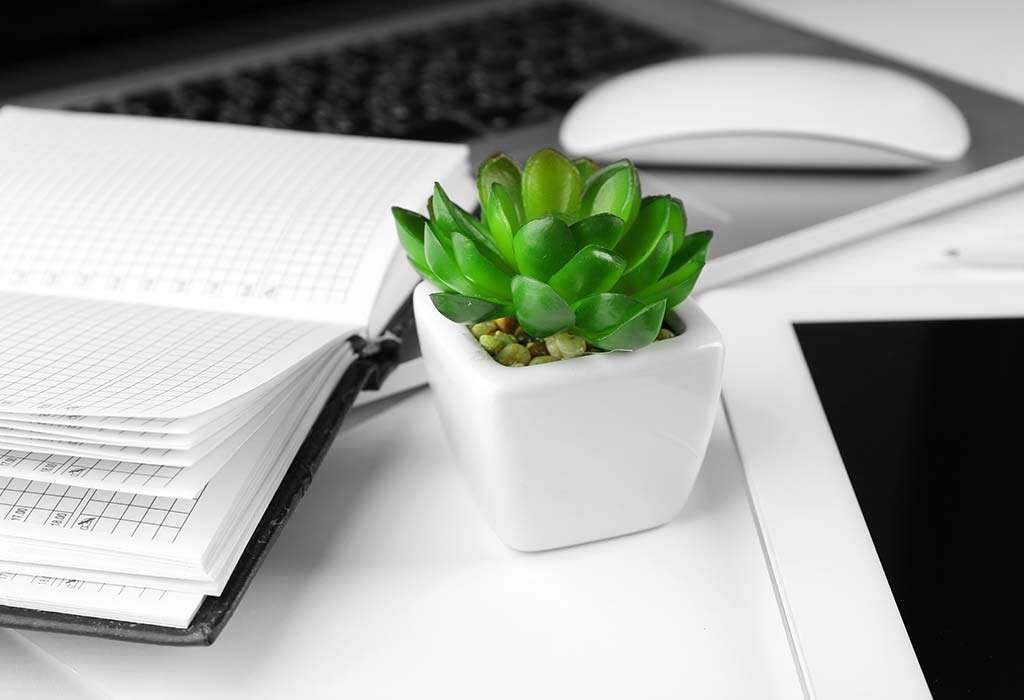  keep plants on your office desk