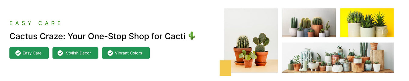 Cactus & Others - ChhajedGarden.com
