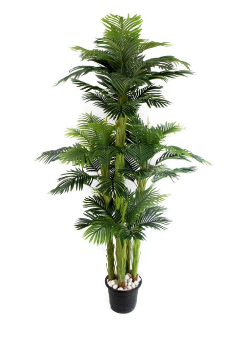 5 Head 60 Palm Leaves Plant
