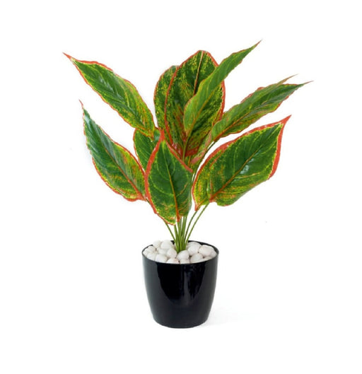 Real Touch Red Diffen Leaf Plant