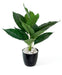 Artificial Real Touch Canna Leaf Plant