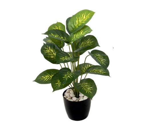 Artificial 18 Head Real Touch Diffen  Medium Plant ( Without Pot )