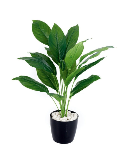 Real Touch18 Leaves Calla Lily Plant