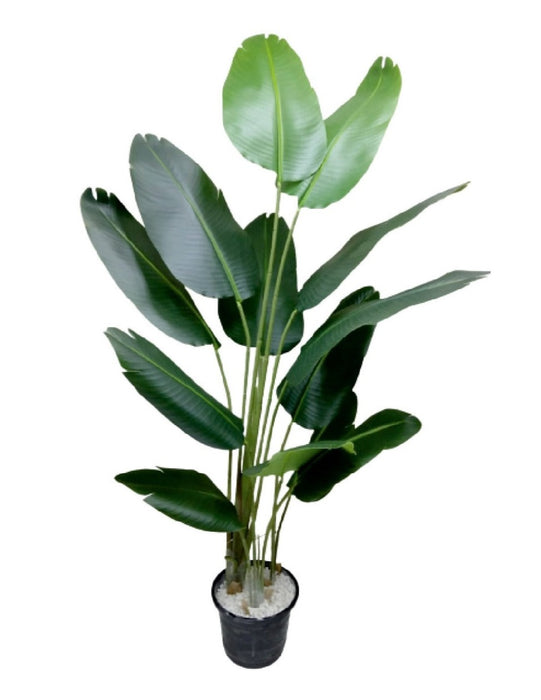 Artificial Travelers Palm Tree (Without Pot), Height-6 ft