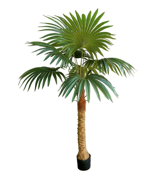 1.5m 9 Leaves Fan Coconut Palm Plant