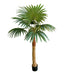 1.5m 9 Leaves Fan Coconut Palm Plant