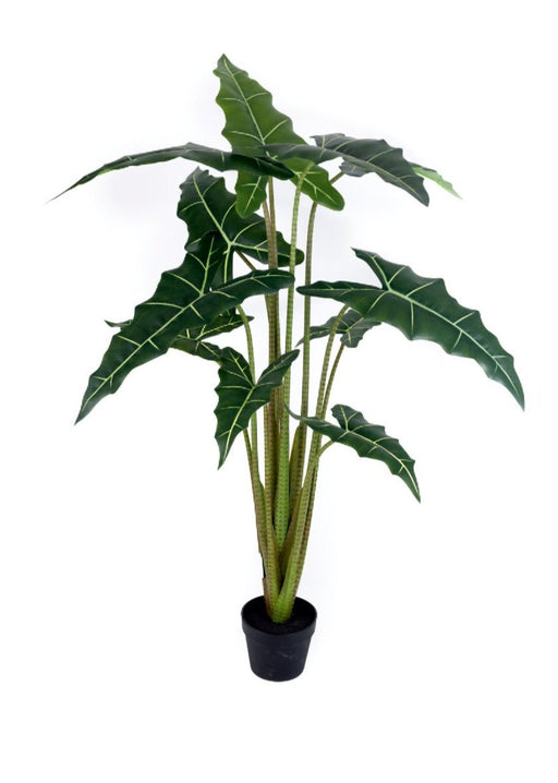 Artificial 161cm Big Leaf Plant In Pot