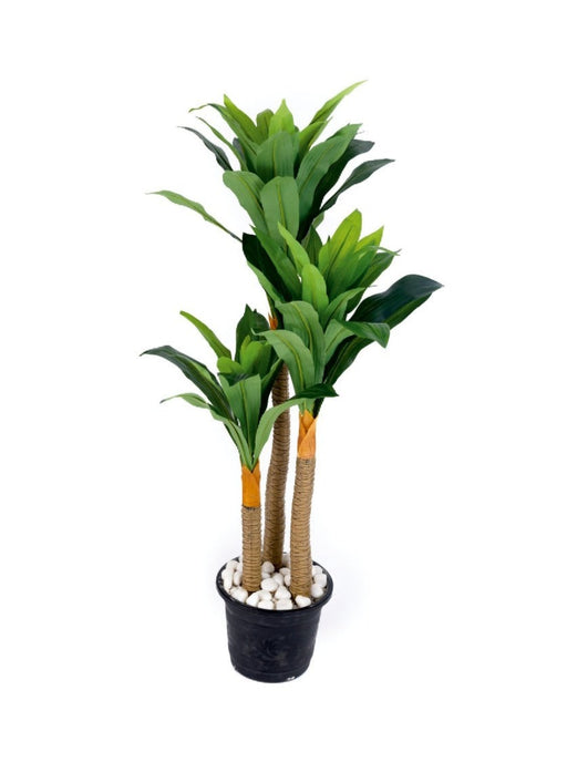 3 Stem Real Touch Green Dracenna Plant