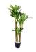 3 Stem 7 in 1 Real Touch Shaded  Dracenna Plant
