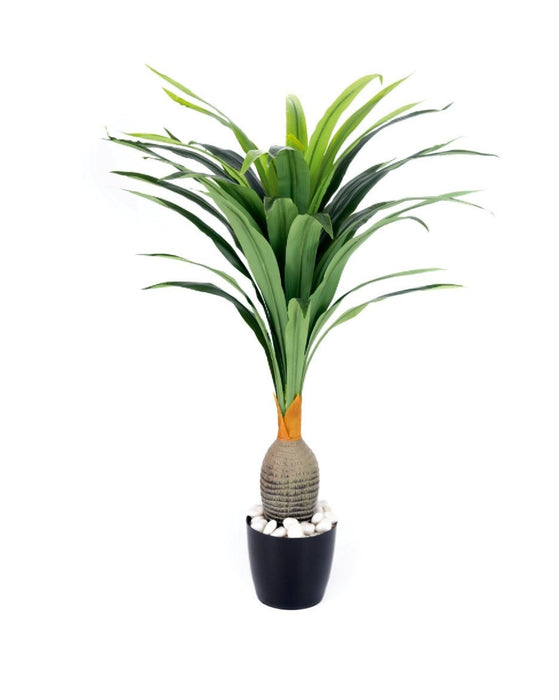 Real Touch Bottle Dracenna Plant