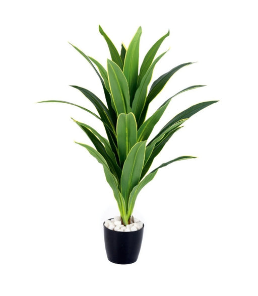 Real Touch Shaded Green  Dracenna Leaves Plant