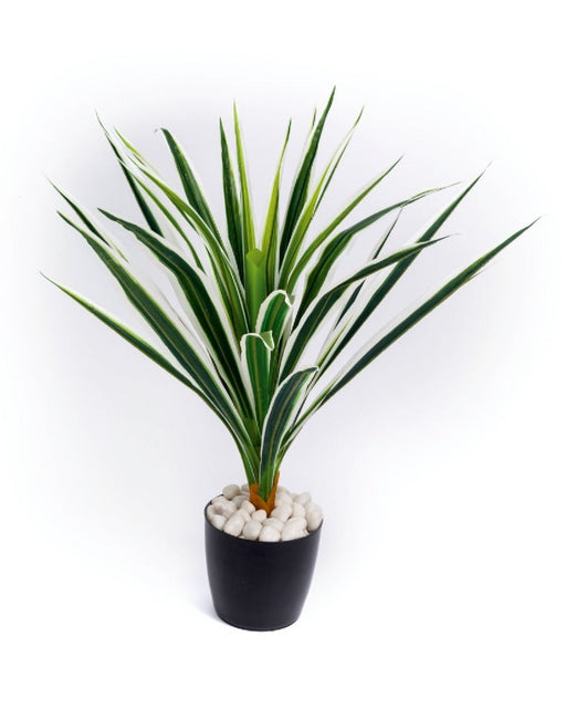 Artificial Real Touch Vericated Dracenna Leaves Plant
