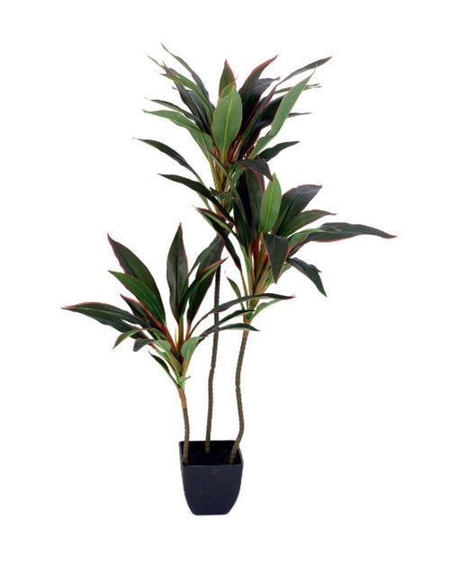 Real Touch 3 Head Dracenna  Plant in Pot