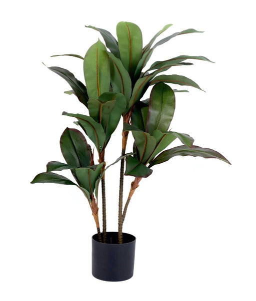 Real Touch 4 Head Dracenna  Plant in Pot
