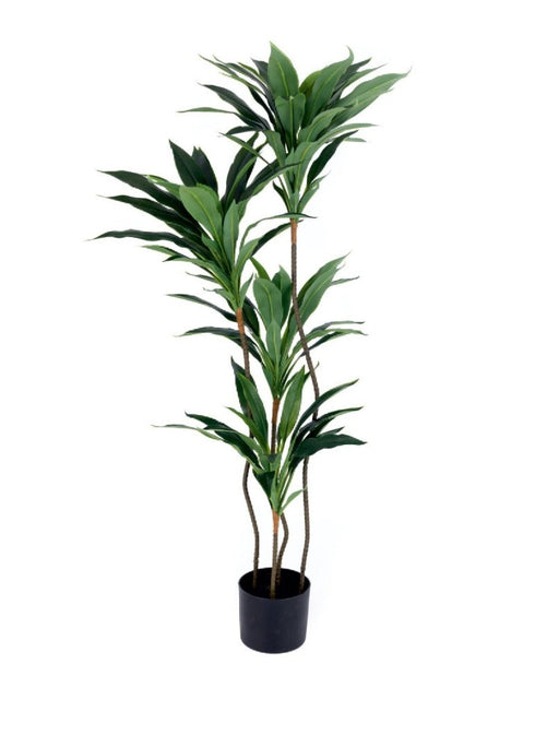 Real Touch 4 Head Green  Dracenna Plant