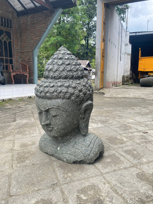 BUDDHA HEAD