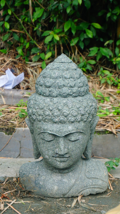 BUDDHA HEAD