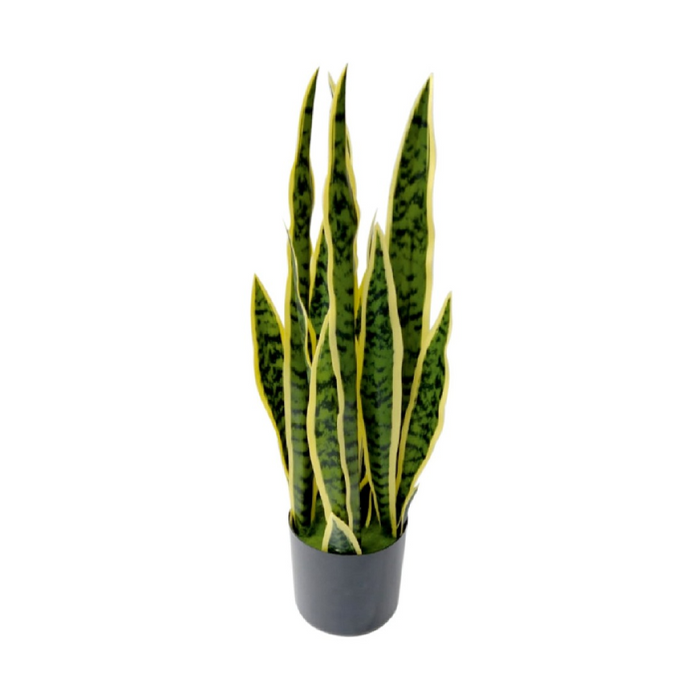 Artificial Big Sanseveria in Pot, Height -2 ft (Pack of 2)