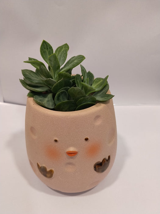 Chick Shape Ceramic Pot | Mini Planter