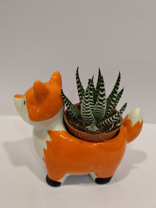 Cute Fox Ceramic Planter | Mini Succulent Pot