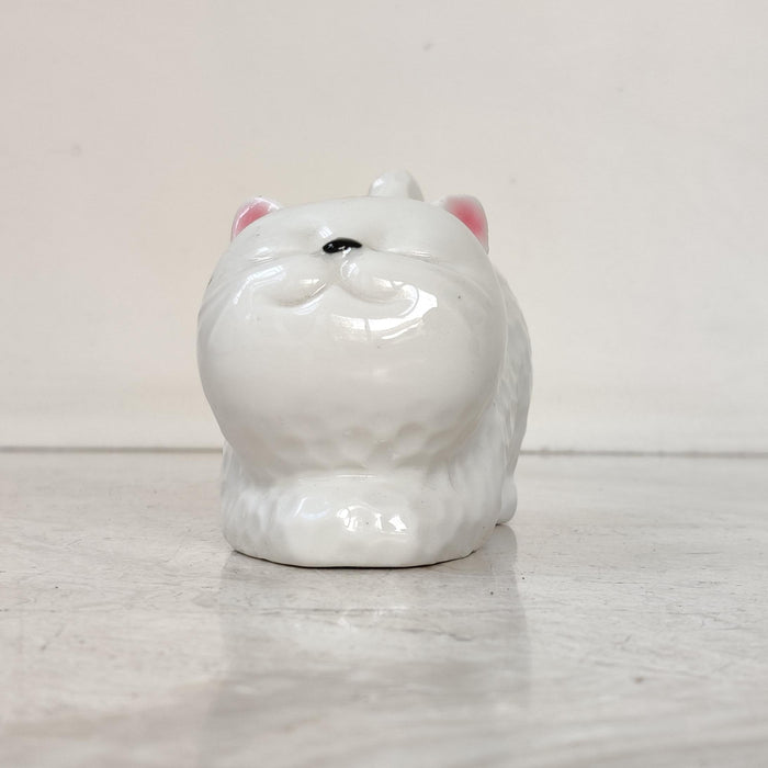 cat-succulent-planter-premium-ceramic-pot