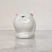 cat-succulent-planter-premium-ceramic-pot