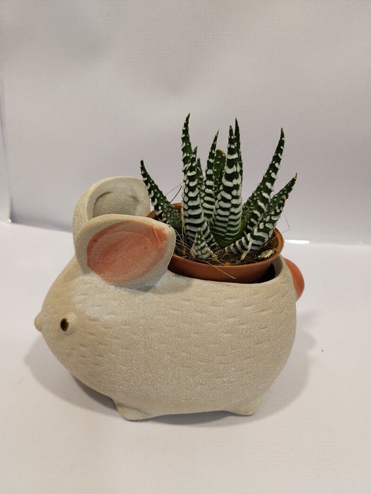 Rabbit Shape Ceramic Pot | Mini Planter