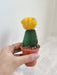 Cheerful Yellow Cactus for Office and indoor  Decor