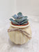Corporate gift succulent in ceramic pot
